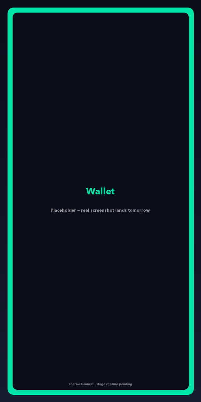 Driver app — wallet screen with saved cards, Apple Pay, Google Pay, and local payment methods