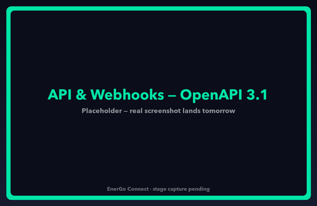 Operator portal — API & Webhooks browser with OpenAPI spec, token scopes, and webhook log